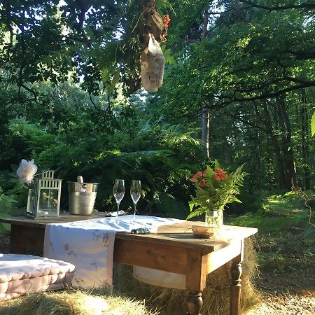 Domaine Du Vertbois La Haye-du-Theil Dış mekan fotoğraf
