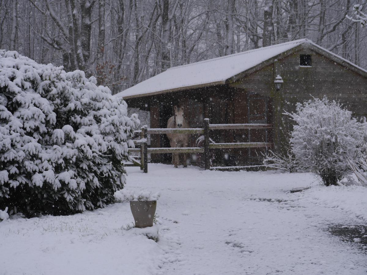 Domaine Du Vertbois La Haye-du-Theil Dış mekan fotoğraf