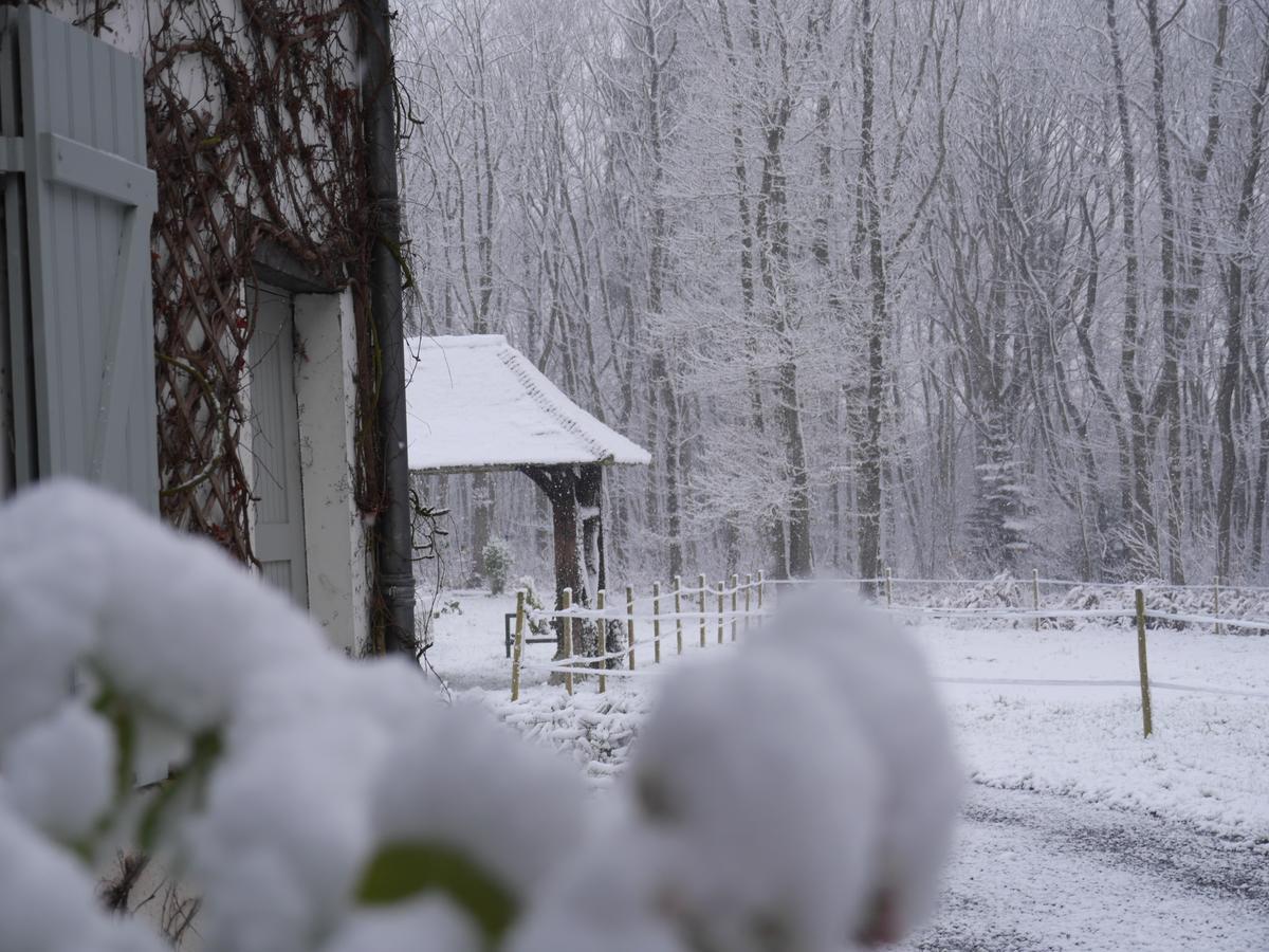 Domaine Du Vertbois La Haye-du-Theil Dış mekan fotoğraf