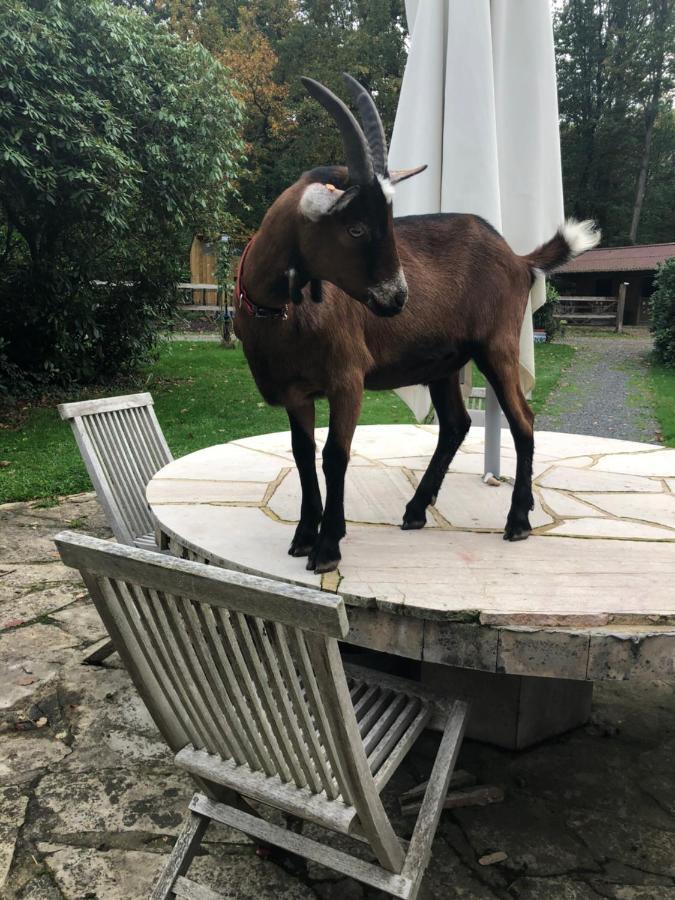 Domaine Du Vertbois La Haye-du-Theil Dış mekan fotoğraf